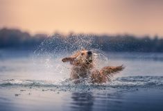 Sjoerd spelend in het water