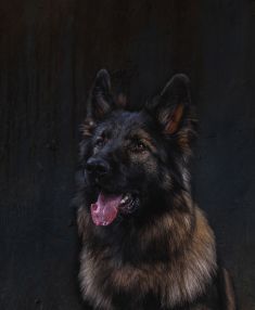 Balou in de studio