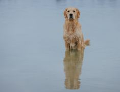 Sjoerd poserend in het water